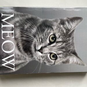 Gray Cat Poster - MEOW